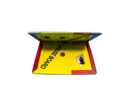 mousetrap
insect hunter
rodents
mice
rat control
rodent control
mouse
gaming mouse
rat gum
gift
luxuries
present gift
all kitchen items
kitchen accessories shop
kitchen and accessories
ordrat online
talabat
talabat online
online orders