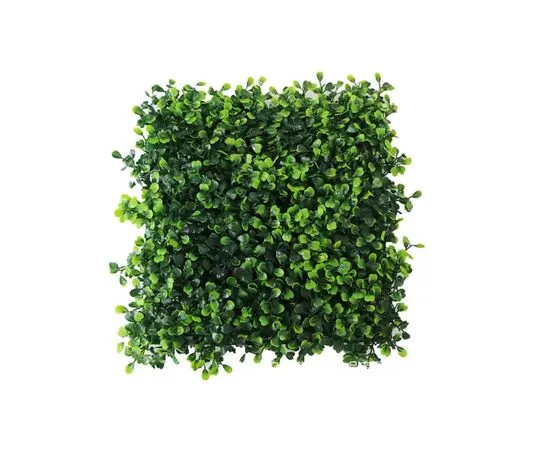 Artificial Grass Wall Panel
Artificial Grass for Walls
60x40 cm Artificial Grass Panel
Artificial Grass Wall Decor
Indoor and Outdoor Grass Wall
Decorating Walls with Artificial Grass
Artificial Grass Panel for Home and Office
Weather-Resistant Artificial Grass Panel
Installing Artificial Grass for Walls
Garden Decor