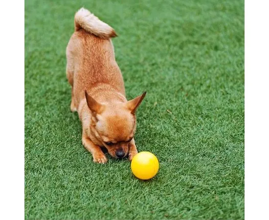 Artificial grass roll
Synthetic grass roll
Synthetic grass for homes
Wear-resistant artificial grass
1.5mm thick artificial grass
25×2 meter flooring roll
Green artificial flooring
Outdoor flooring
Practical indoor flooring
Quick-install flooring
Easy-to-clean artificial grass
High-quality artificial grass roll
Synthetic grass for walkways